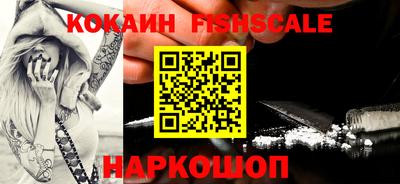 гашик Дубна
