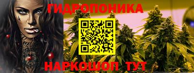 гашик Дубна