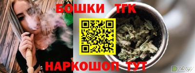 гашик Дубна