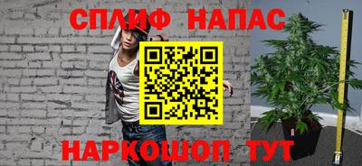 гашик Дубна