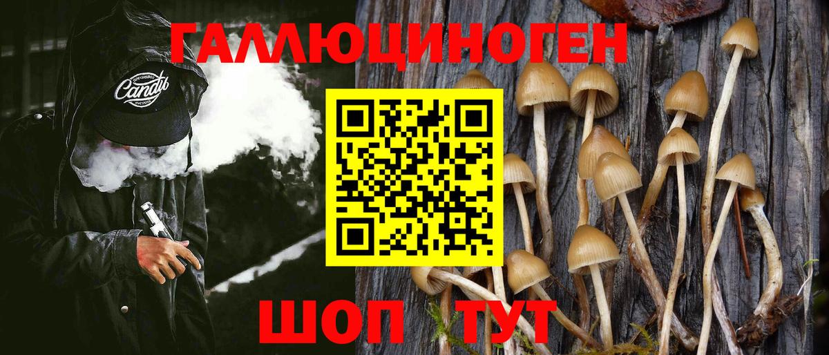 Псилоцибиновые грибы мухоморы  Псилоцибиновые грибы Psilocybe  Междуреченск  Вход с VPN 