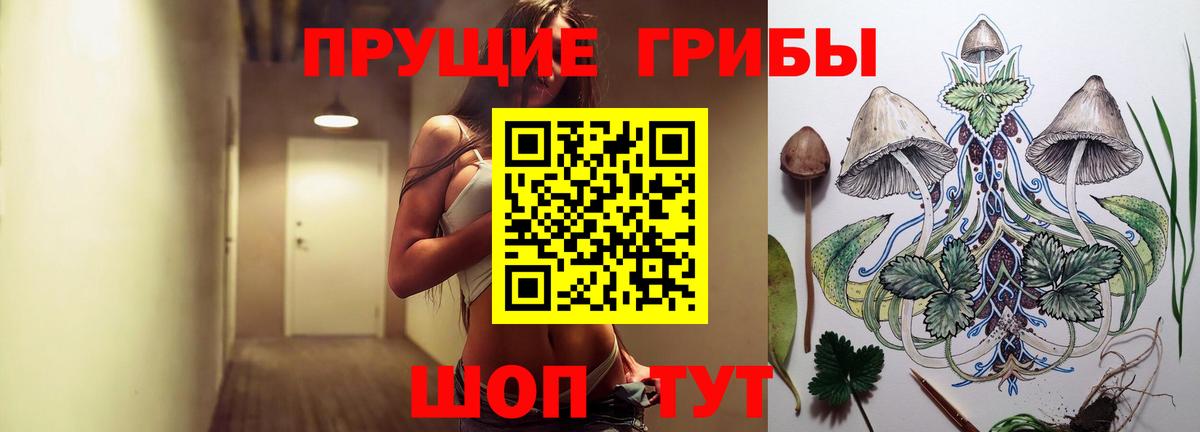 Псилоцибиновые грибы ЛСД Междуреченск